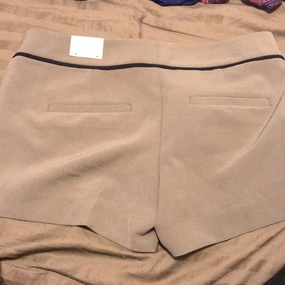 Dressy Shorts from Express ✨✨ Brand New - Picture 2 of 5